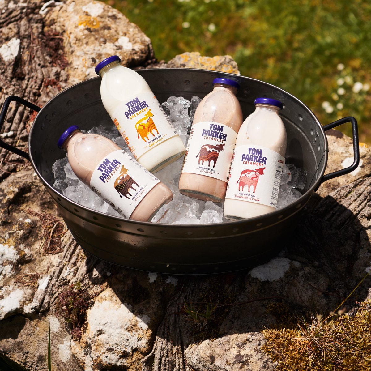 It feels like summer party season is very nearly upon us, so make sure you stock up on our 500ml bottles of flavoured milk - the kids (and adults) will love them! 🥛🍓🍌🍫☕️