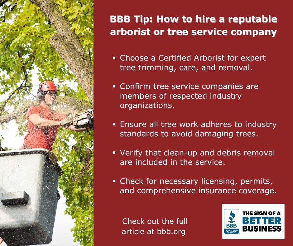 BBBofNorfolk's tweet image. Looking for trustworthy tree care? Branch out with the BBB's tips on hiring reputable arborists! 🌳💪 Grow your confidence and your community with #TreeServiceTrust #TrustAndCredibility #BBBAllies #EthicalBusiness #CommunityGrowth

bbb.pulse.ly/9poqdb6tyx