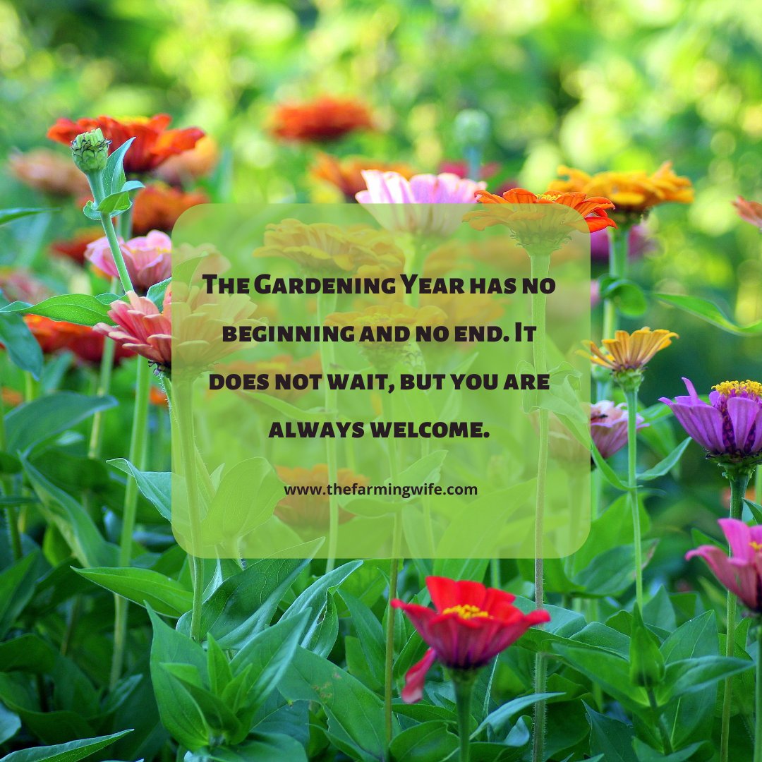 Amy J (@herbgardens) on Twitter photo 