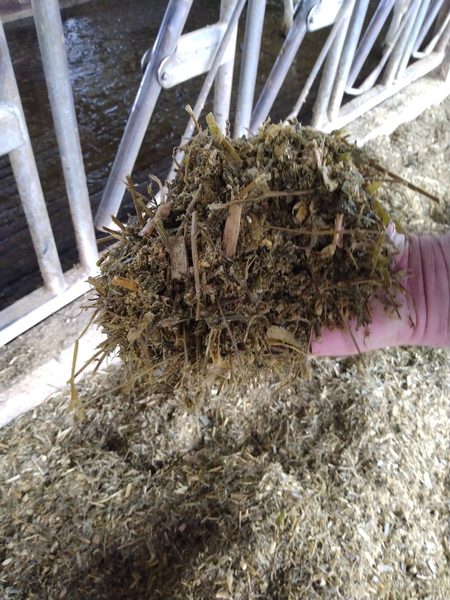 Attended the Walworth County Farm Bureau Dairy Breakfast in Sharon, Wisconsin today!   In addition to my breakfast, I checked out what the cows were eating- high quality feeds grown on healthy soils.