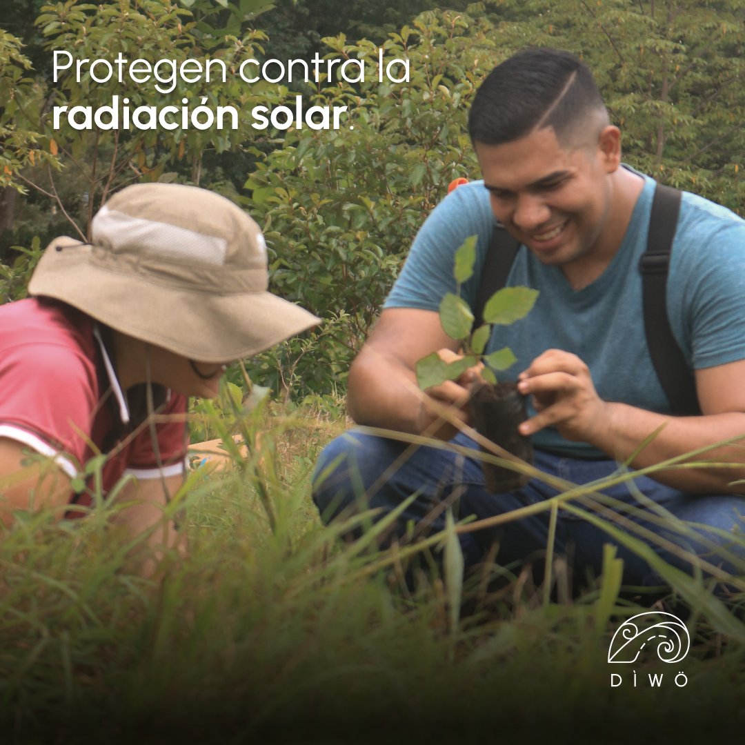 diwoambiental's tweet image. 🌳Para conmemorar el Día Nacional del Árbol plantamos 80 árboles (donados por Diwö) junto a estudiantes del Colegio Técnico Profesional de Osa y el Ministerio de Agricultura y Ganadería. 🌱🎓

Esta actividad fue parte de la Siembratón 2024. #PlantandoFuturo #PISCCA
@FranceCR
