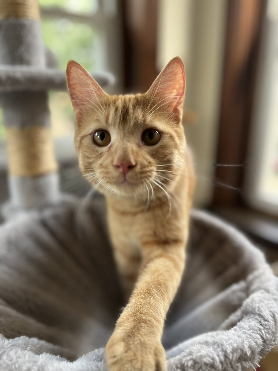 Aussieshell4 tweet media