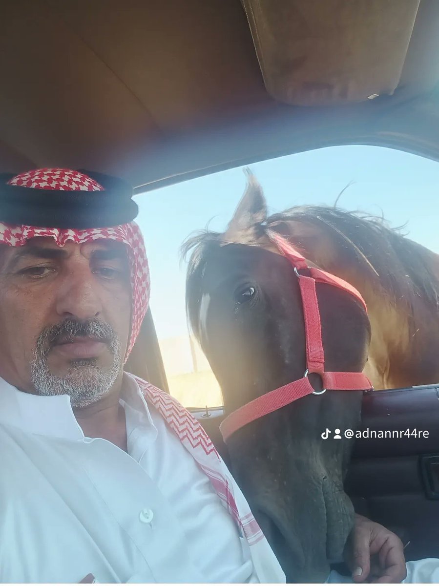 ابن غنيم إبن سالم ابن غنيم 
الحقيقي ليس المزيف 
يسعد مساكم من الاردن وتحديد مادبا الفيصليه