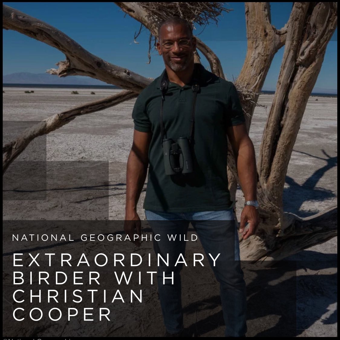 무민투 tweet media