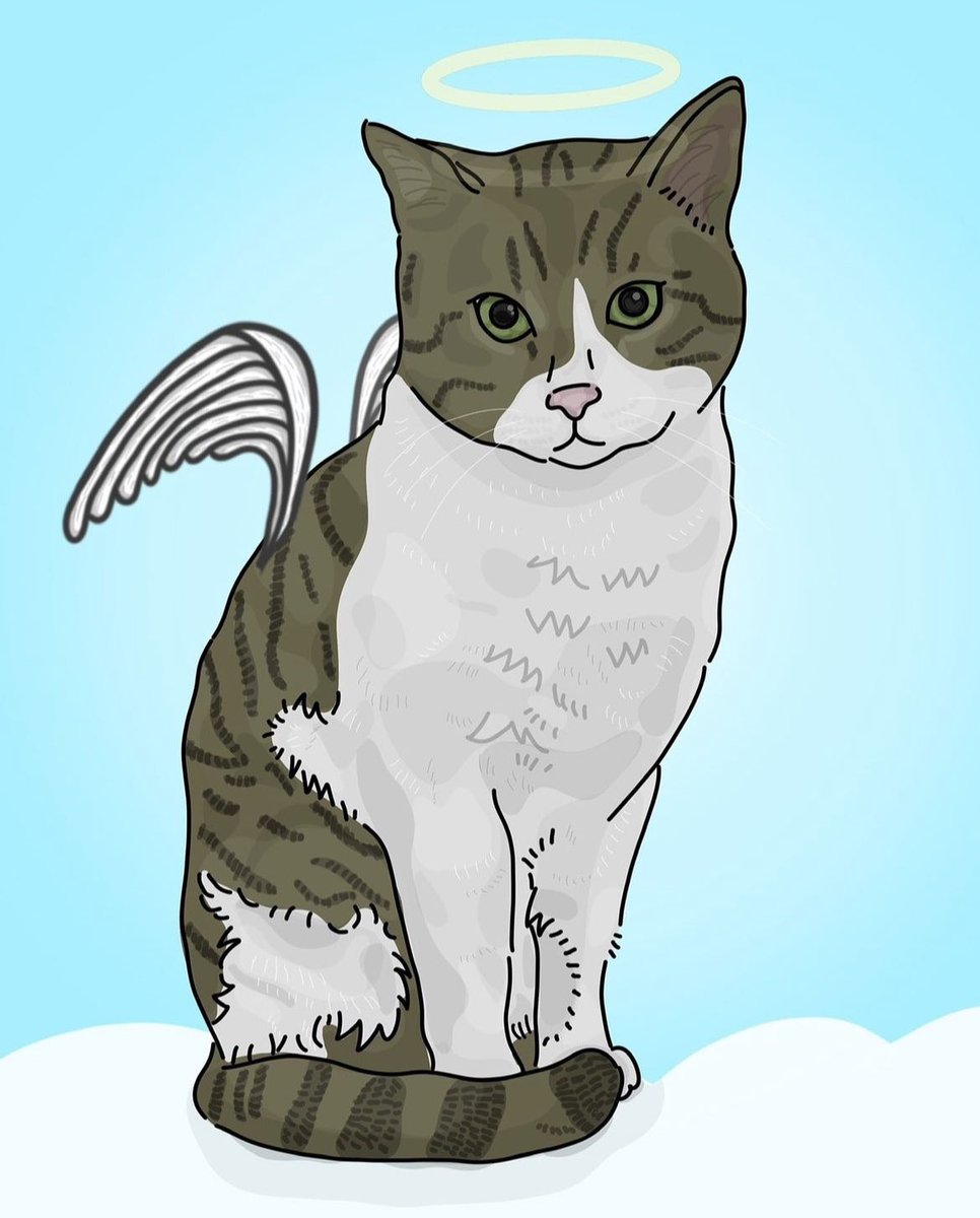 Rahat uyu Eros 🙏🏻
Seni tekmeleyerek öldüren İbrahim Keloğlan’ın cezası onandı. 
İçerde çeksin cezasını!
#ibrahimkeloğlan 
#Eros