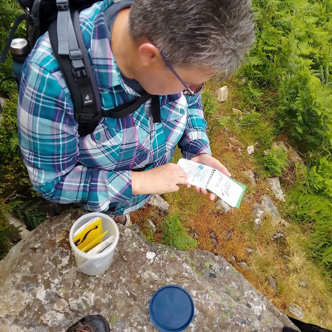 GuidedHiking's tweet photo. A private guided tour for Tara. Out in BrayHead Looking for one of Europes first Geocaches which is near BrayHead. A great day. was had exploring and many Geocaches https://t.co/1qleMHS0bG