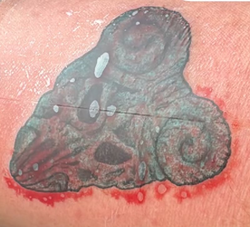 New tattoos. One new one every week for the last three, newest today the pick of destiney. <a href="/tenaciousd/">Tenacious D</a> <a href="/thecure/">The Cure</a> <a href="/OrchardThieves/">Orchard Thieves</a> much love to the lads at Banjaxed ink for the work