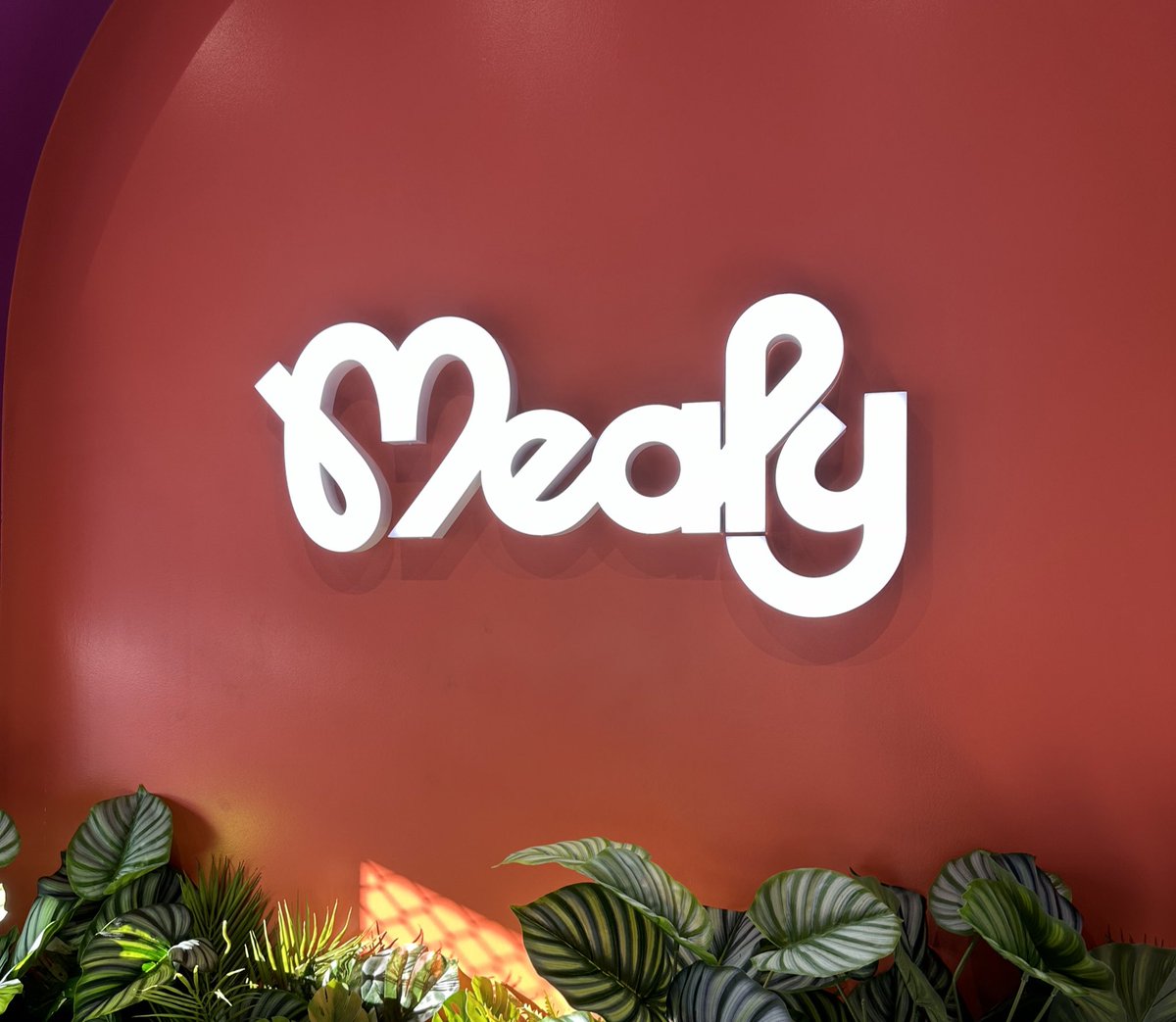 Mealy tweet media