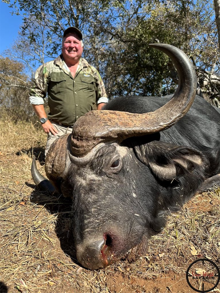 vanWijkSafaris's tweet photo. Walt with his huge Buffalo bull. What a hunt! #vanwijksafaris #exceedyourafricandream #buffalohunting #dangerousgamehunting #hunthard #huntlife #huntingisconservation #marylandbowhunterssociety #huntafrica #africahunting #phasa #hunting_itsallaboutthejourney #huntingislife https://t.co/RK9C5LEbfM