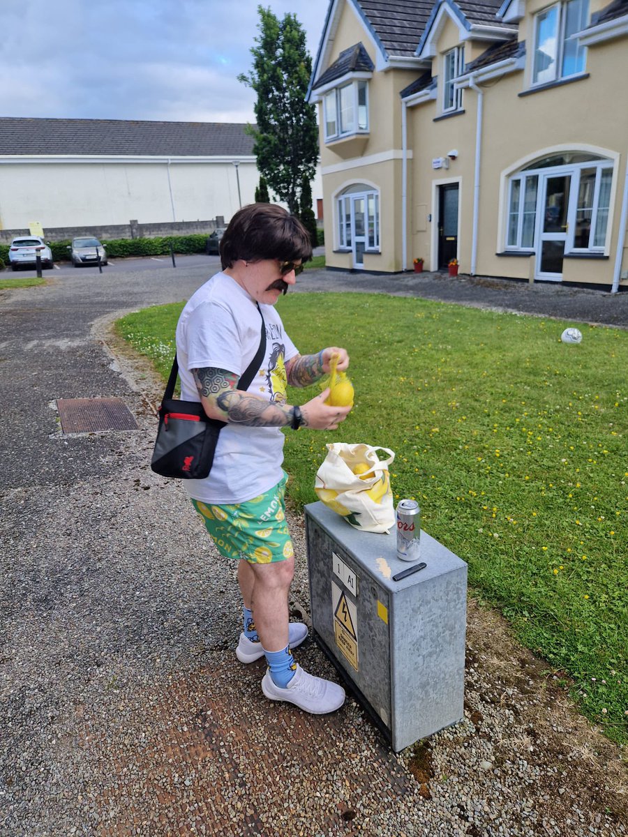 DavidHenMusical's tweet photo. Anyone seen these missing Lemons?? #aims24 https://t.co/XZpjEoQQE6
