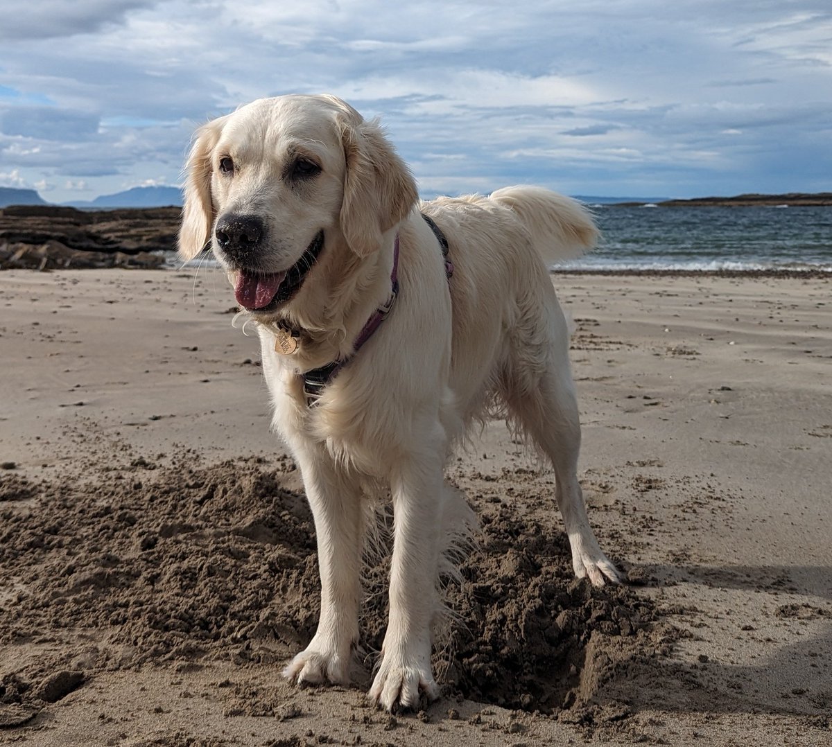 I had a huge mix of emotions arriving at the beach where some of Erynn's ashes are scattered but this beautiful baby girl experiencing the area for the first time was just pure joy, along with Martha and Phoebe knowing exactly where we were 💜