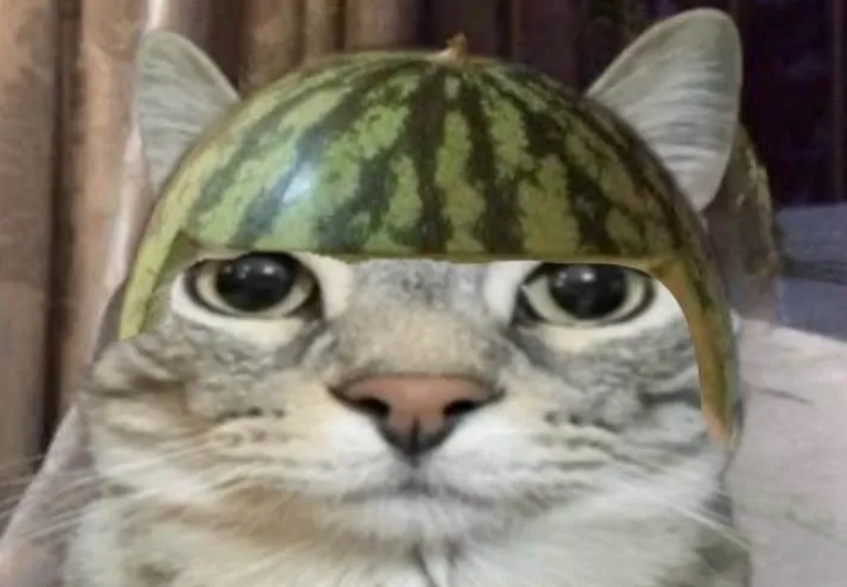 Opera GX tweet media