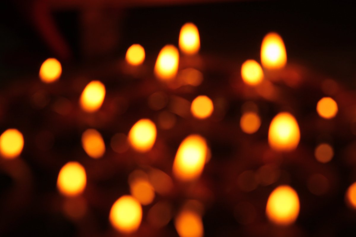 macrobyrahul's tweet image. Illuminating the Path to Success #Inspiration #Motivation #PathToSuccess #LightYourWay #JourneyToSuccess #Illuminate #FocusOnGoals #ShineBright #SuccessMindset #PositiveVibes