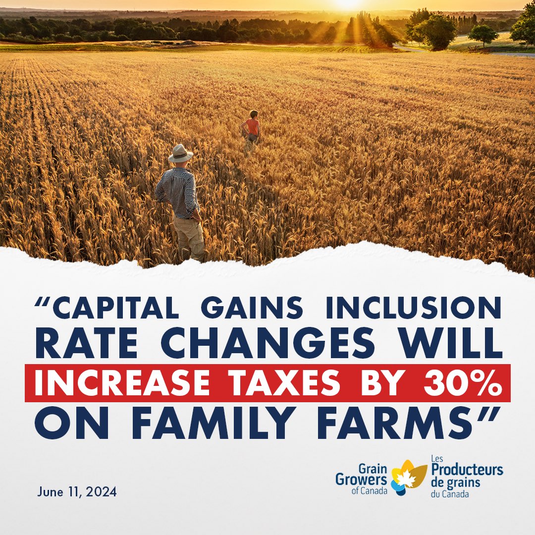 “Grain Growers of Canada revealed that the capital gains inclusion rate changes will increase taxes by 30% on family-run grain farms. Despite the [Federal] Budget 2024’s title of ‘Fairness for Every Generation,’ this change will actually burden the next generation of farmers, who