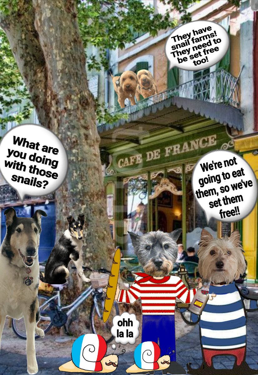 Norman_Dillon1's tweet photo. We rescued these two snails from somebody's plate, we're gonna set 'em free.....we should release all the snails don't yer fink bestie?
#theruffriderz #BovverBoys @jennystape @CollieTwiggy @ODoodles1 #SouthOfFrance #Monaco #escargo https://t.co/k7iolMANsn