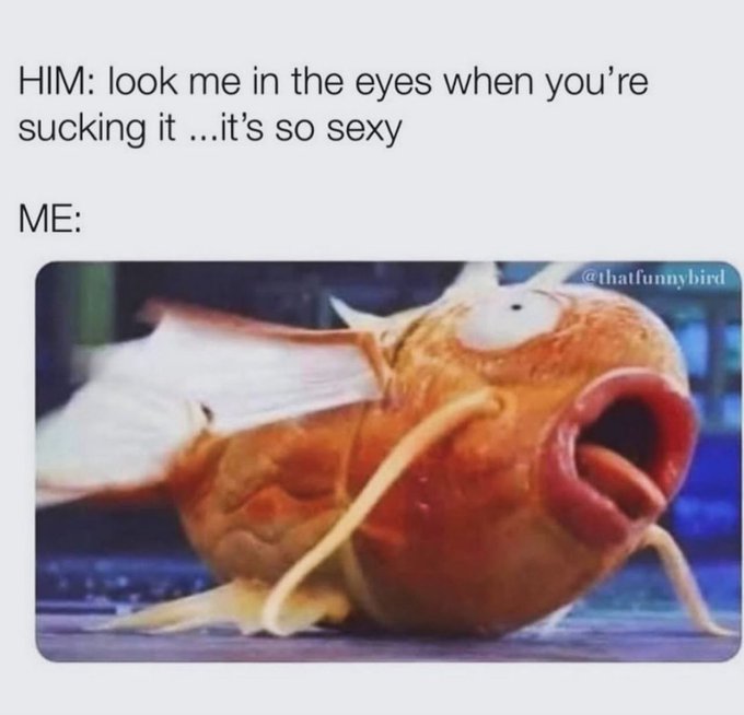 Hahahah https://t.co/zW58MwAZth