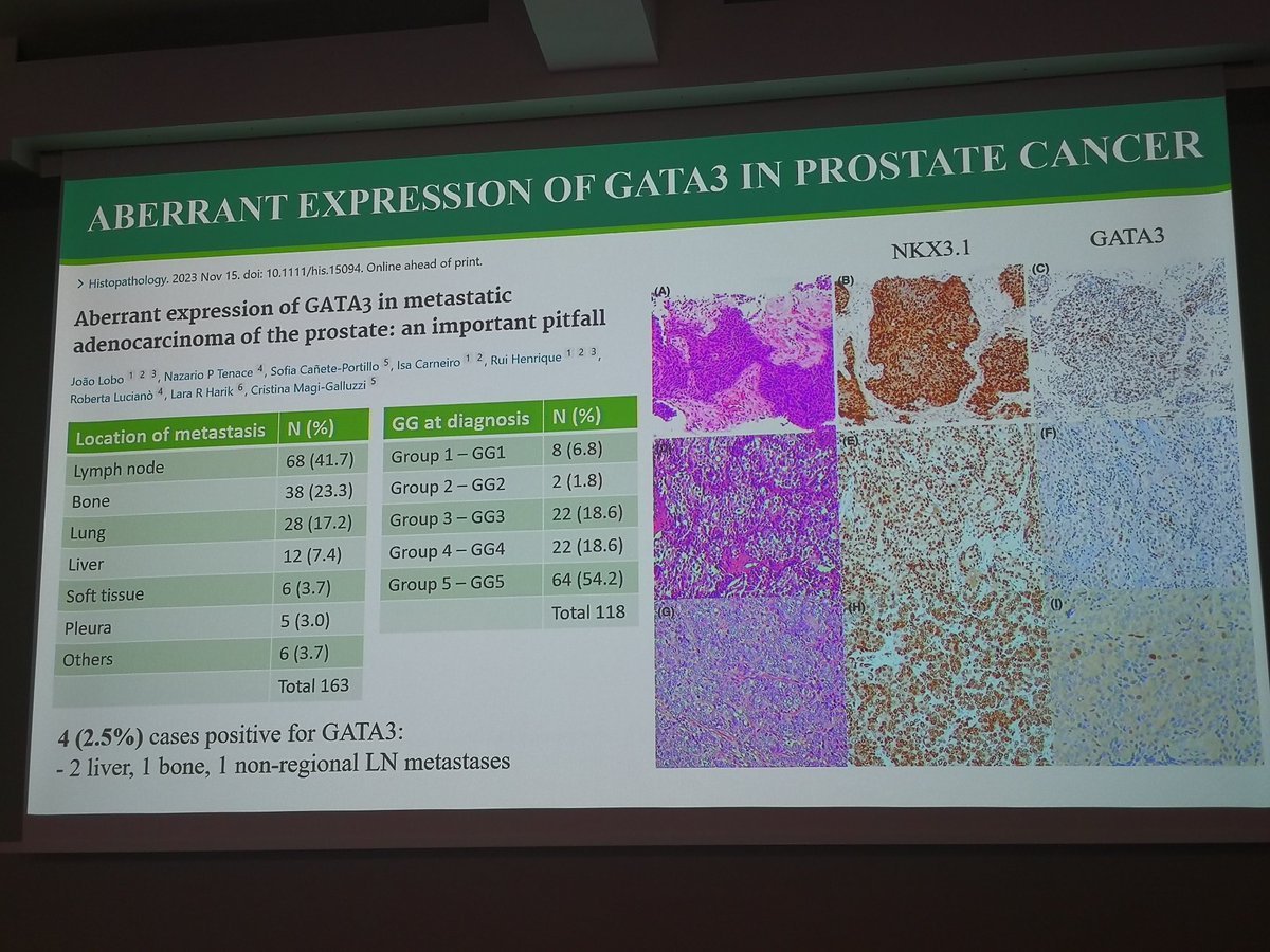 Miruna Popescu, MD tweet media