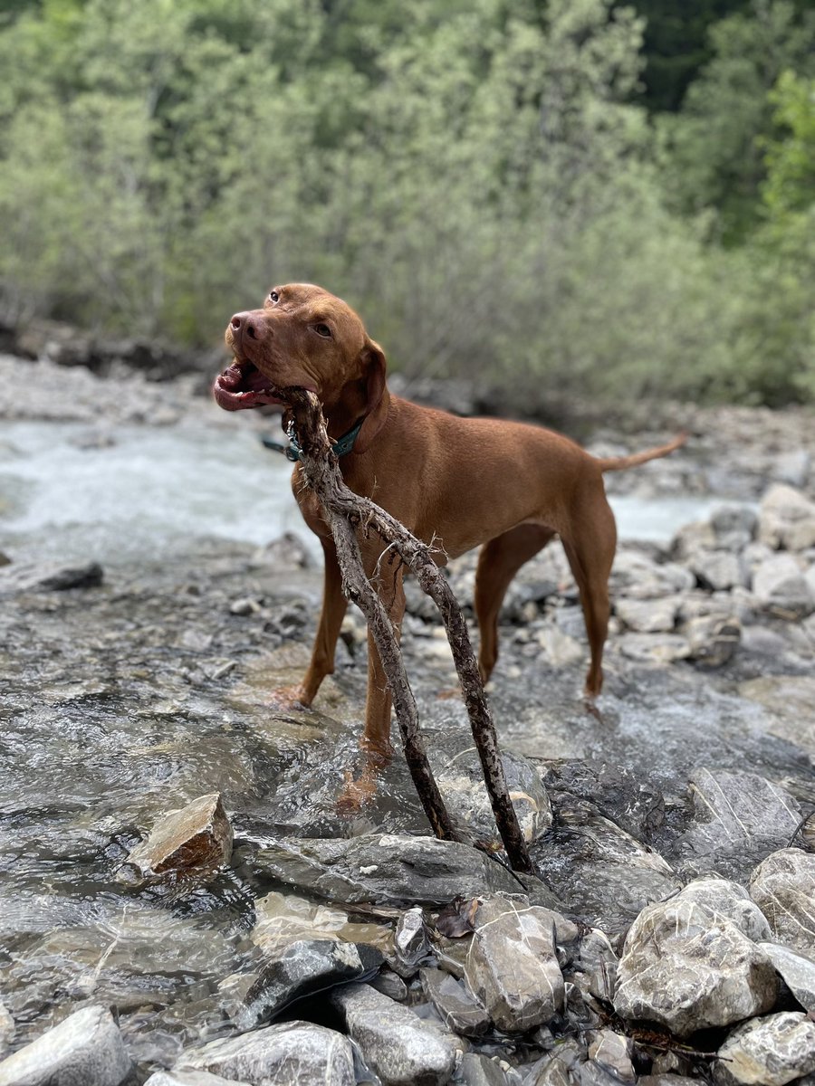 5K run with the monster then came home and accidentally wrote 2K words of Baps Fontaine. Hadn’t even planned to write today but she wouldn’t shut up in my head so wrote a lovely little scene that wasn’t in my plan. #amwriting