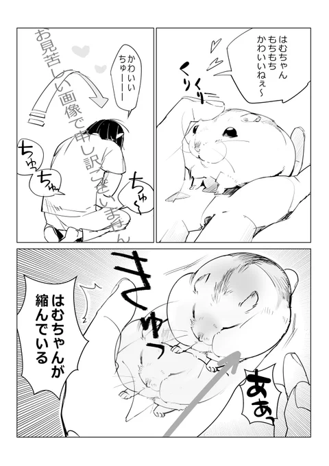 顔を近づけると縮むのさ ハハッ、フシギだね
#ハムスター漫画 