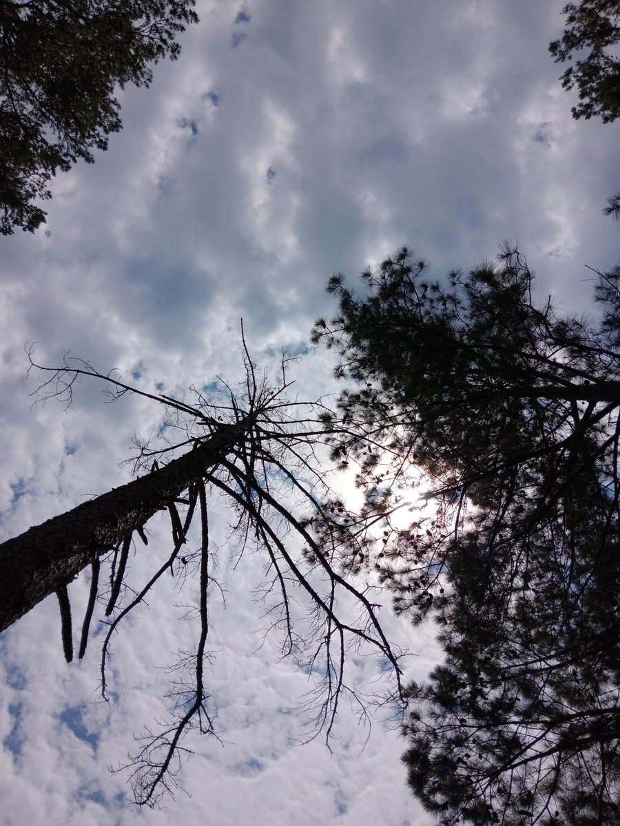 Purgw My LIFE Rebranded (@cultrera305) on Twitter photo 