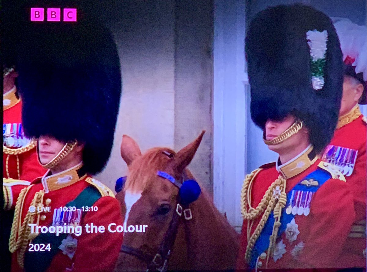 MontyCaffrey's tweet photo. @ShakeLS These live TV pictures are actual news of the day & show real royals serving the UK ๐ฌ๐ง They say everything reallyโฆ no Netflix, no spin & no invisible children #catherinethegreat #royalfamily #sussexgrifters #sussexshame #runharryrun https://t.co/i63ZYjN4w4