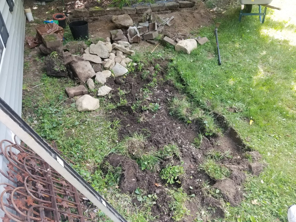 Dylan Hornibrook tweet media