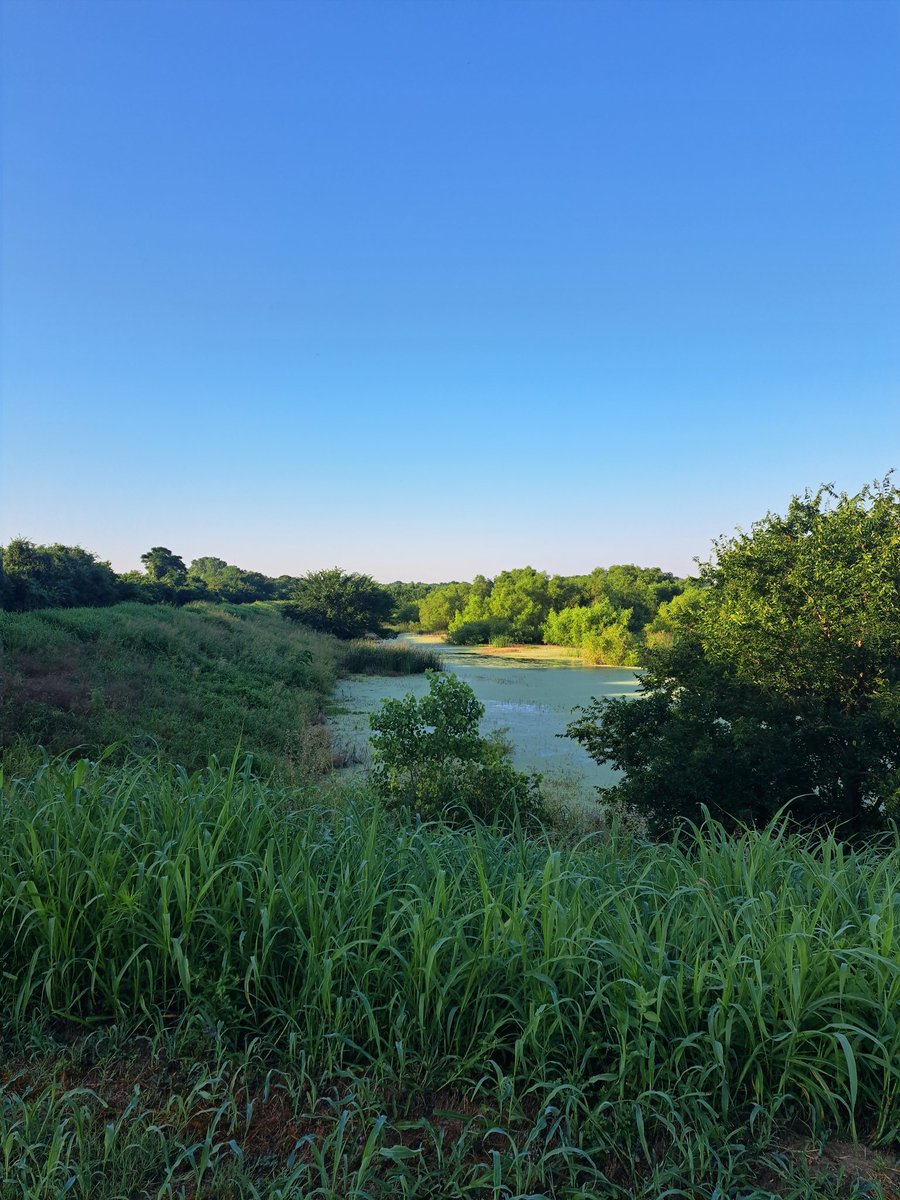 NatureIsHealing 🇬🇹 🇺🇸 🇺🇦 tweet media