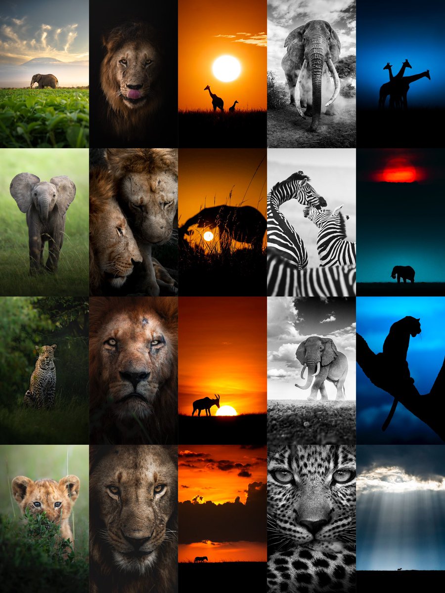 Dhir Jakharia tweet media