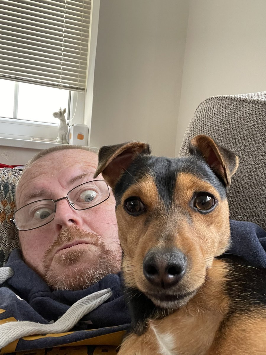OllieGoddardGsy's tweet photo. You what?
#youwhat #montythejackrussell https://t.co/DRw2D9nhjn