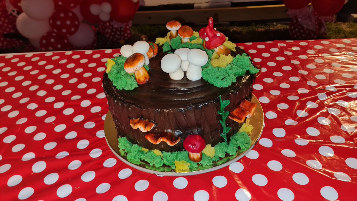 The cake that I made one birthday for my cousin