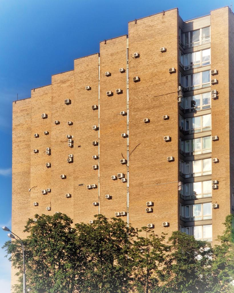 ...а на стенах домов по традиции шрифтом Брайля пишутся послания для скользящих над городом невидимых слепых драконов с мягкими чуткими лапами.