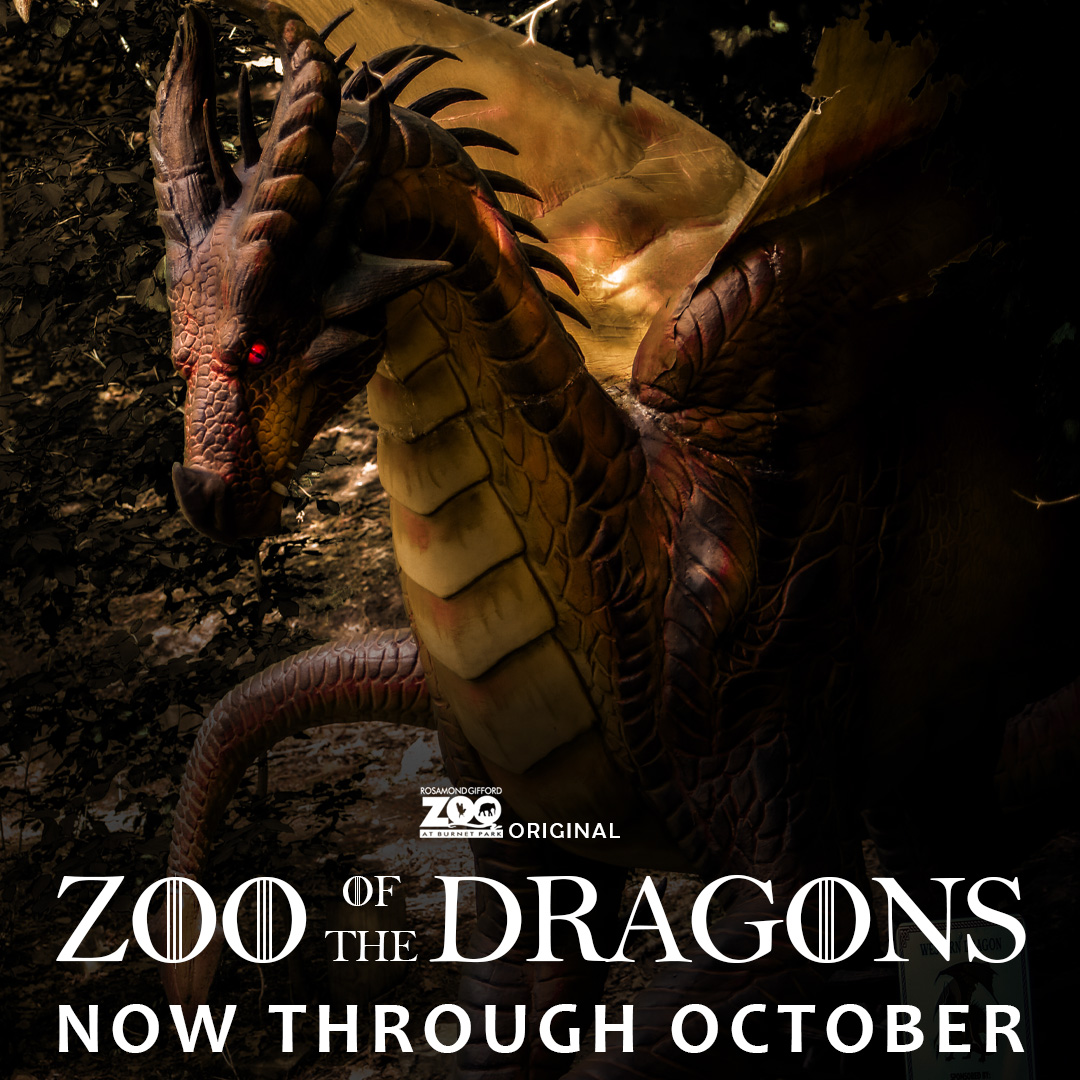 Visit the REAL #HouseOfTheDragon at the Rosamond Gifford Zoo! 🐉

#Syracusezoo #Syracuse #CNY #GameOfThrones #DragonsReign #Dragons2024