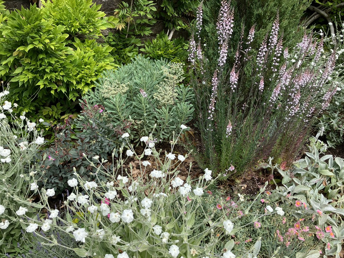 Katie Benallick tweet media