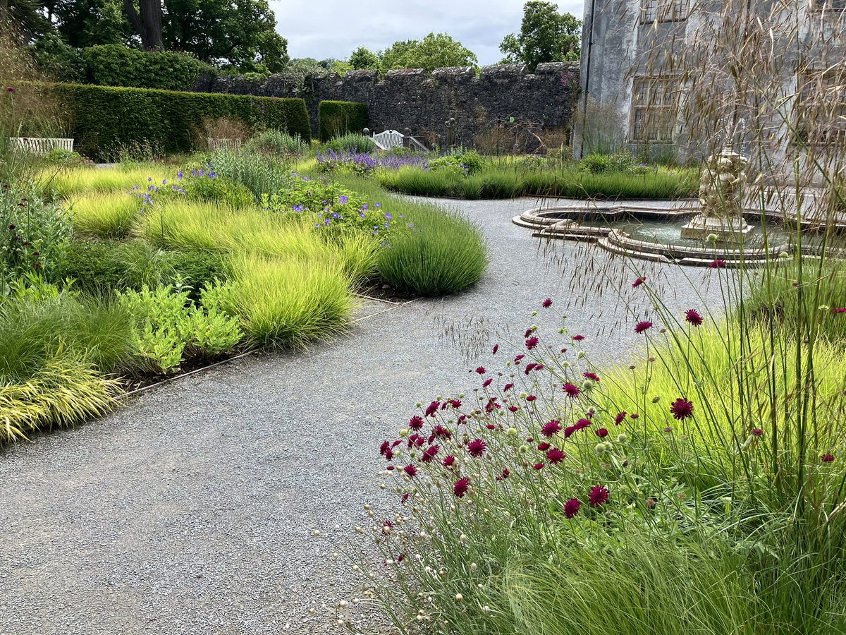 Katie Benallick tweet media