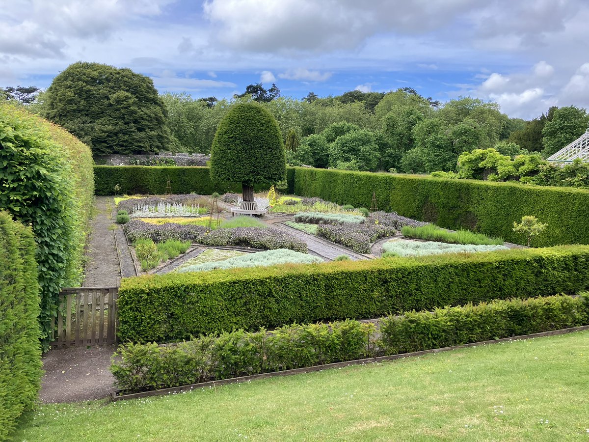 Katie Benallick tweet media