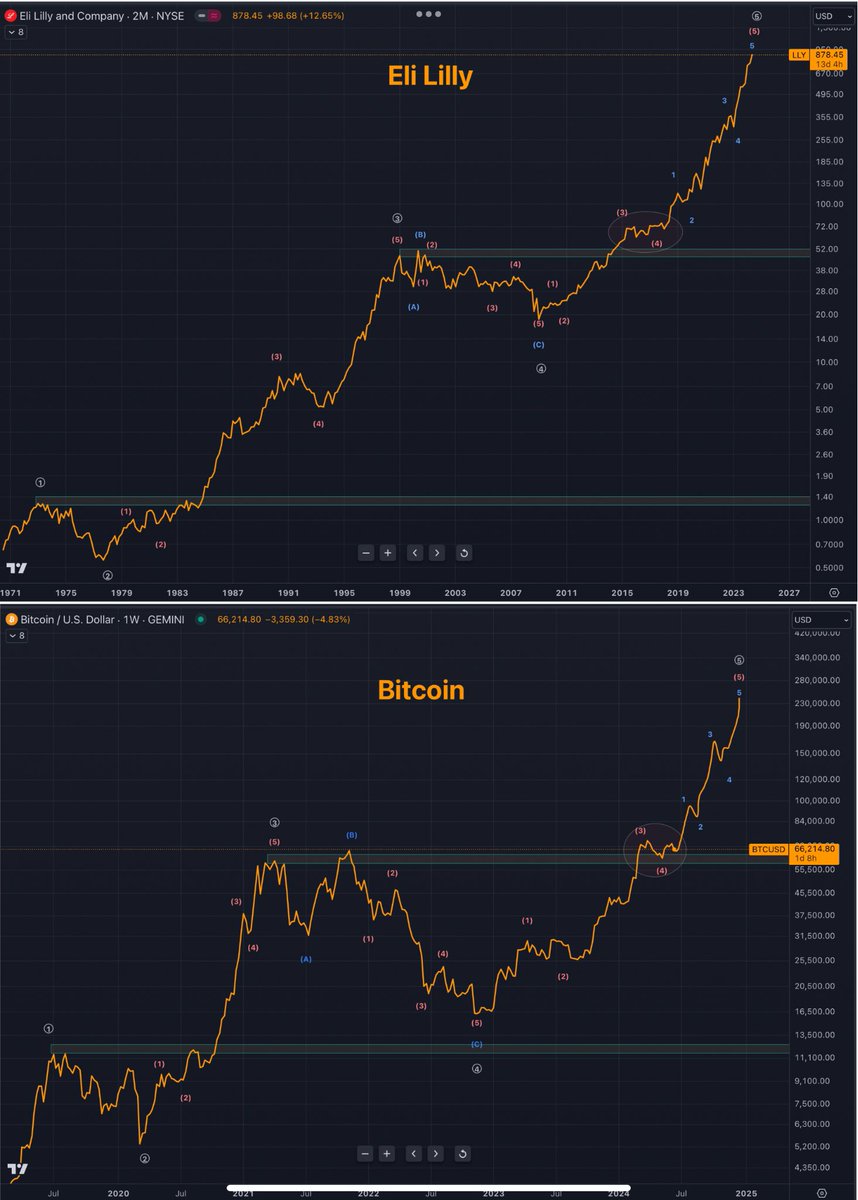 “Coosh” Alemzadeh tweet media