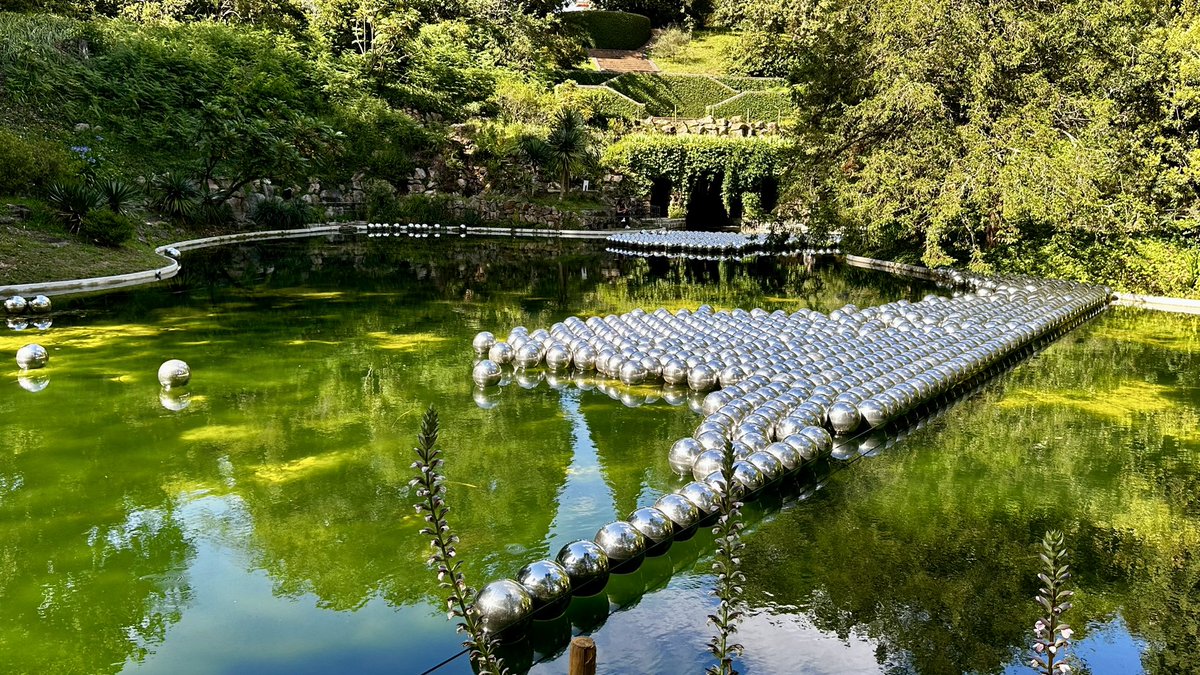 « Treetop Walkway » &amp; Serralves Foundation Park, Porto 🇵🇹