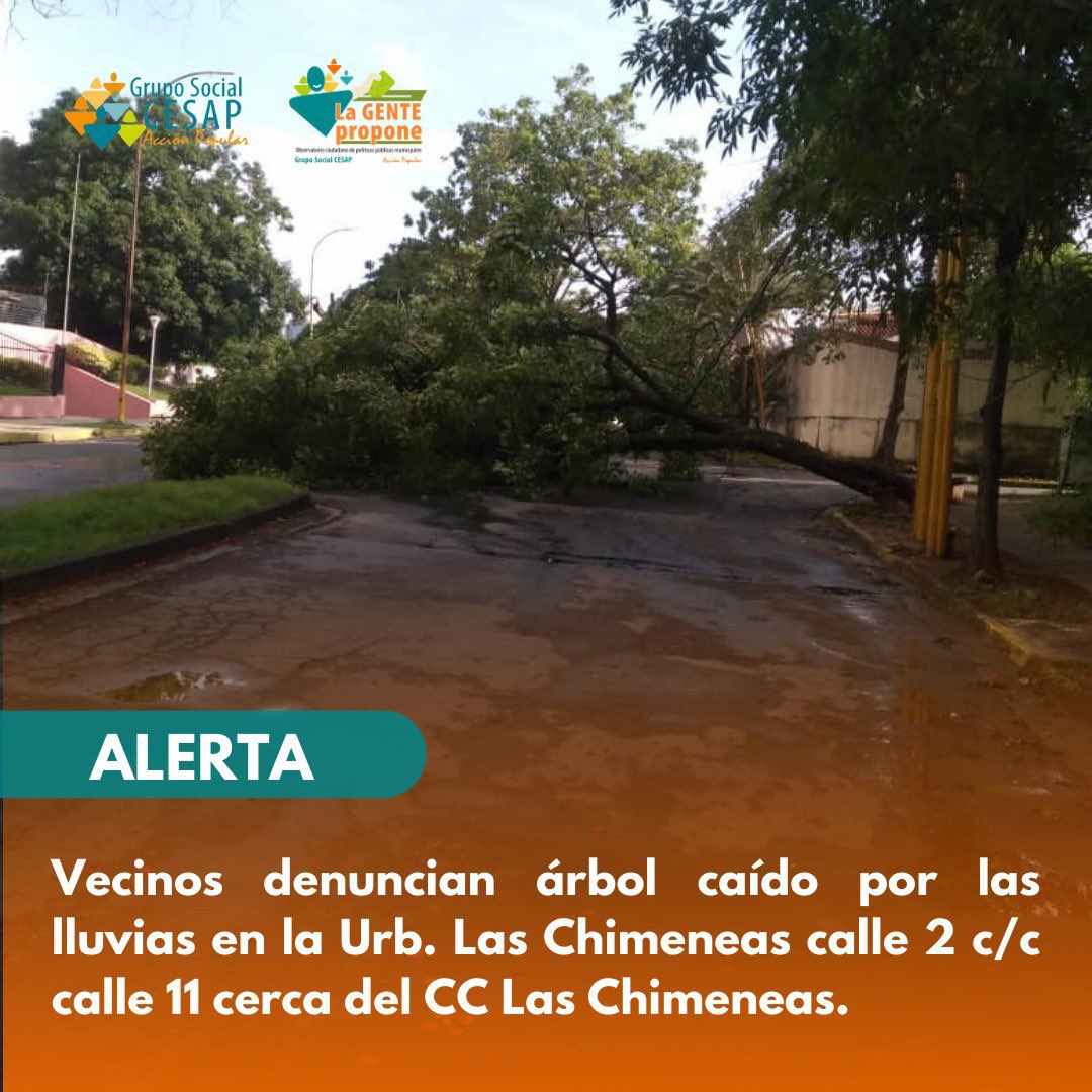 #Alerta|| Vecinos denuncian árbol caído por las lluvias en la Urb. Las Chimeneas calle 2 c/c calle 11 cerca del CC Las Chimeneas.

@alc_valencia 

#Valenciapropone #SomosCESAP #Lagentepropone #Alerta #arbolcaido