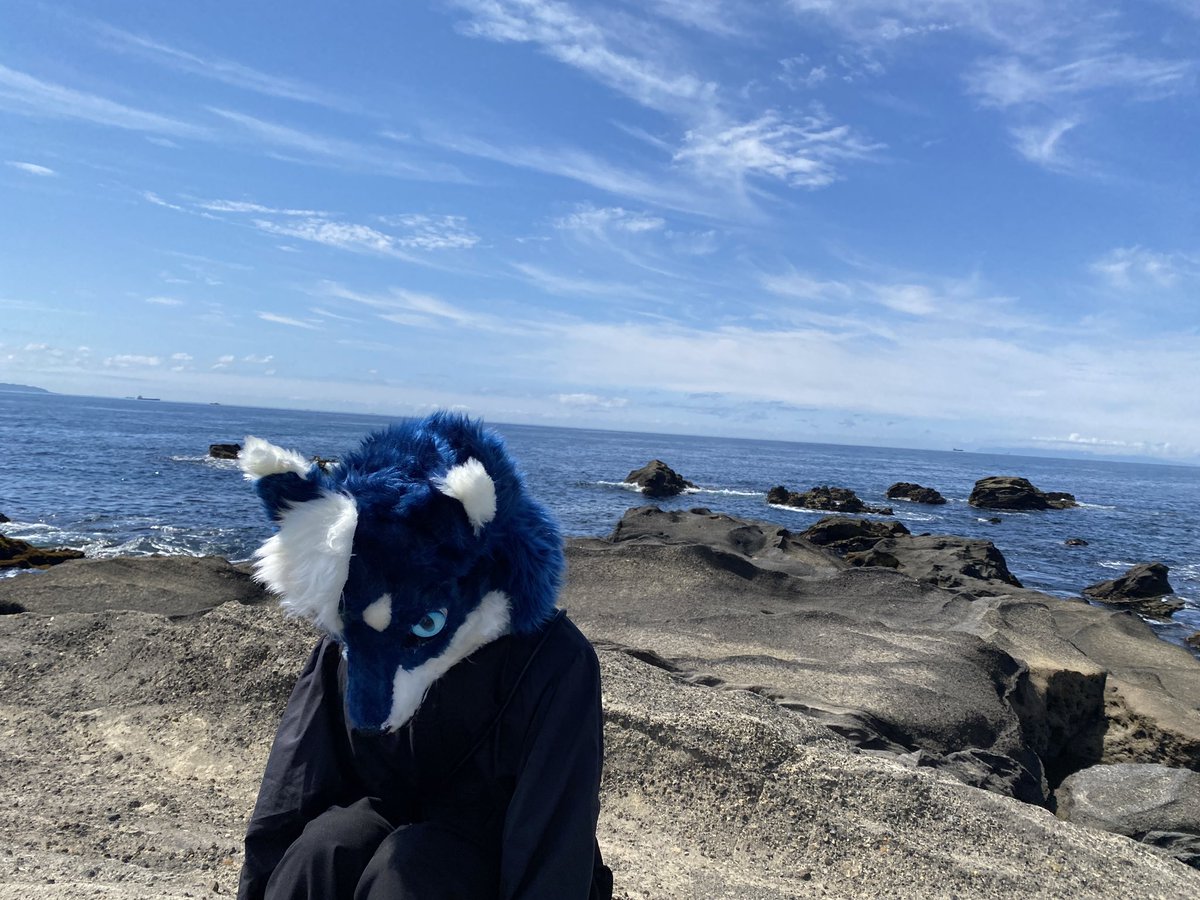 kai_martoos's tweet photo. ���やすみなさい。明日もいい天気☀️ https://t.co/B8G2o5cNVl