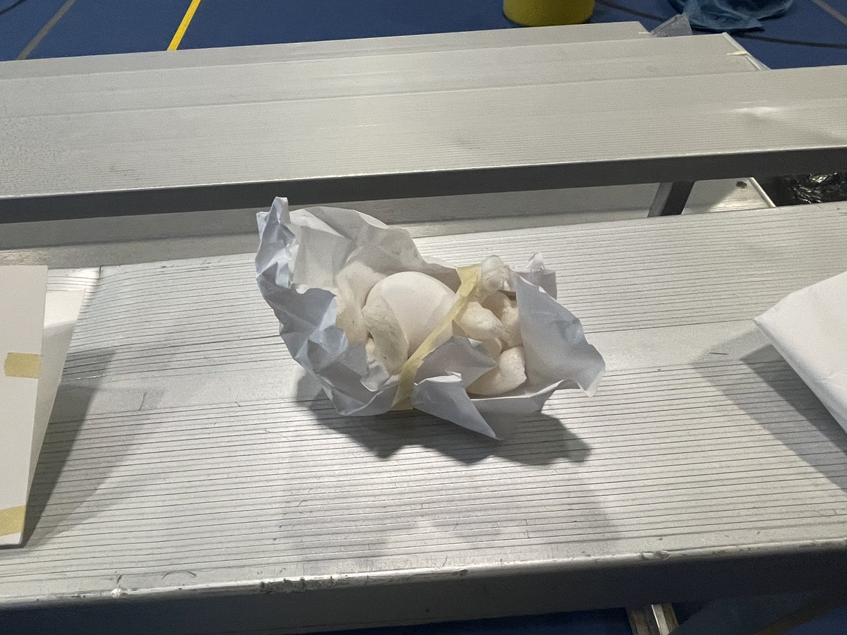 CoachBeauchesne's tweet image. #FinalExam #EggDrop Transport Devices! [Project Challenge (E-Block)]
@AndoverPS
@DonnaRuseckas 
#AHSPhysEd