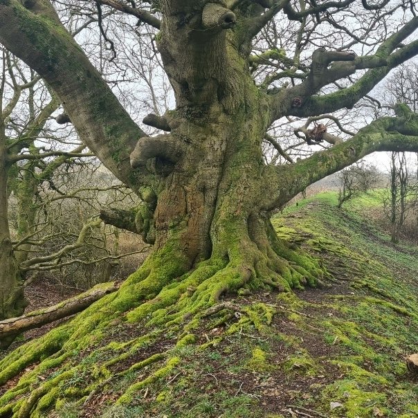 Paul Whitewick tweet media