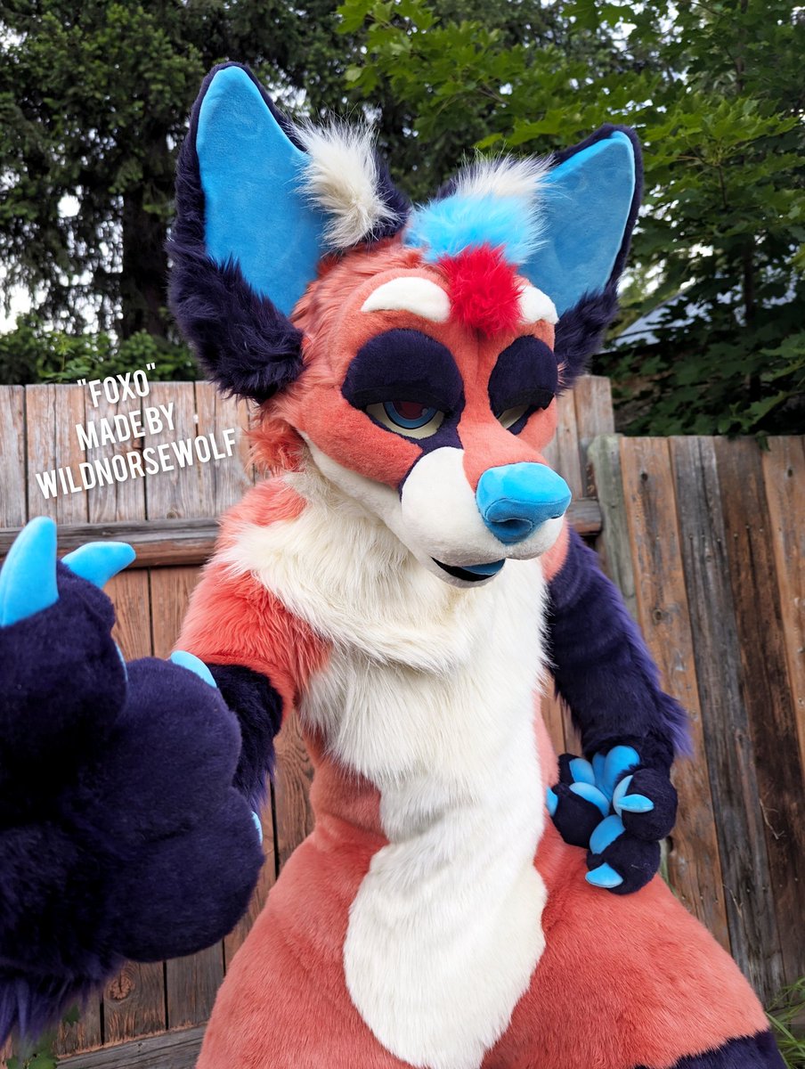 Norsewolf • 北欧狼 • open for heads, partials, & paws tweet media