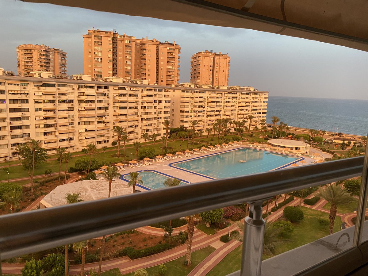 Wes Anderson filmi içindeyim