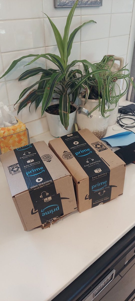 Rob_Haswell's tweet photo. AMAZON : Want to wait a day to get your stuff to save on boxes? 
ME: Of course, I'll make this small sacrifice in an effort to help planet Earth! 
AMAZON: Here ya go! 🤦‍♂️
#shippingfail #atleastwetried https://t.co/IFDKMGWqgq