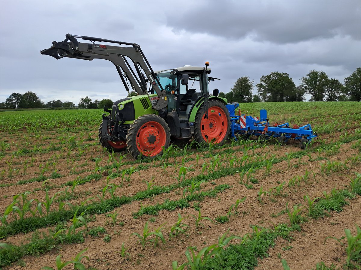 Agriculteur Bio Engagé, la Ferme de Châteauneuf tweet media