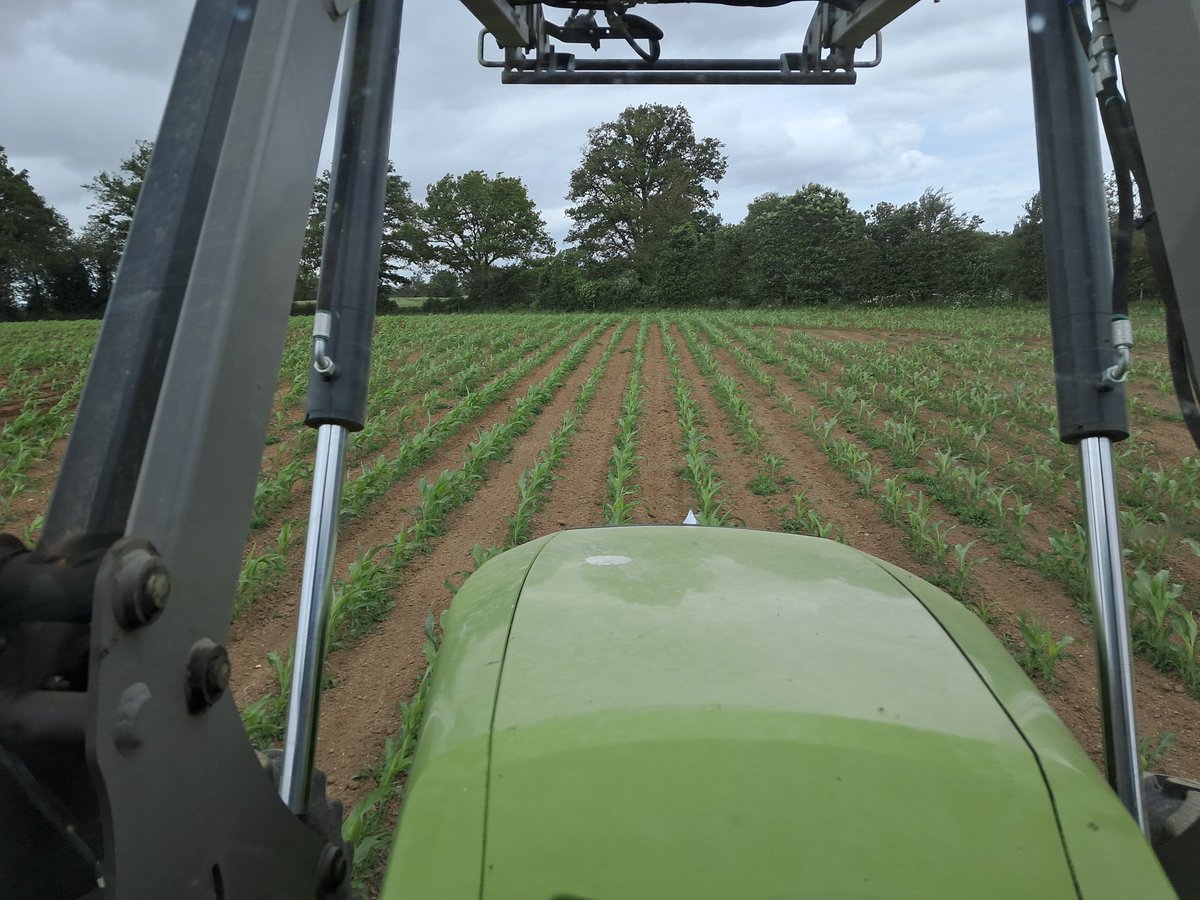 Agriculteur Bio Engagé, la Ferme de Châteauneuf tweet media