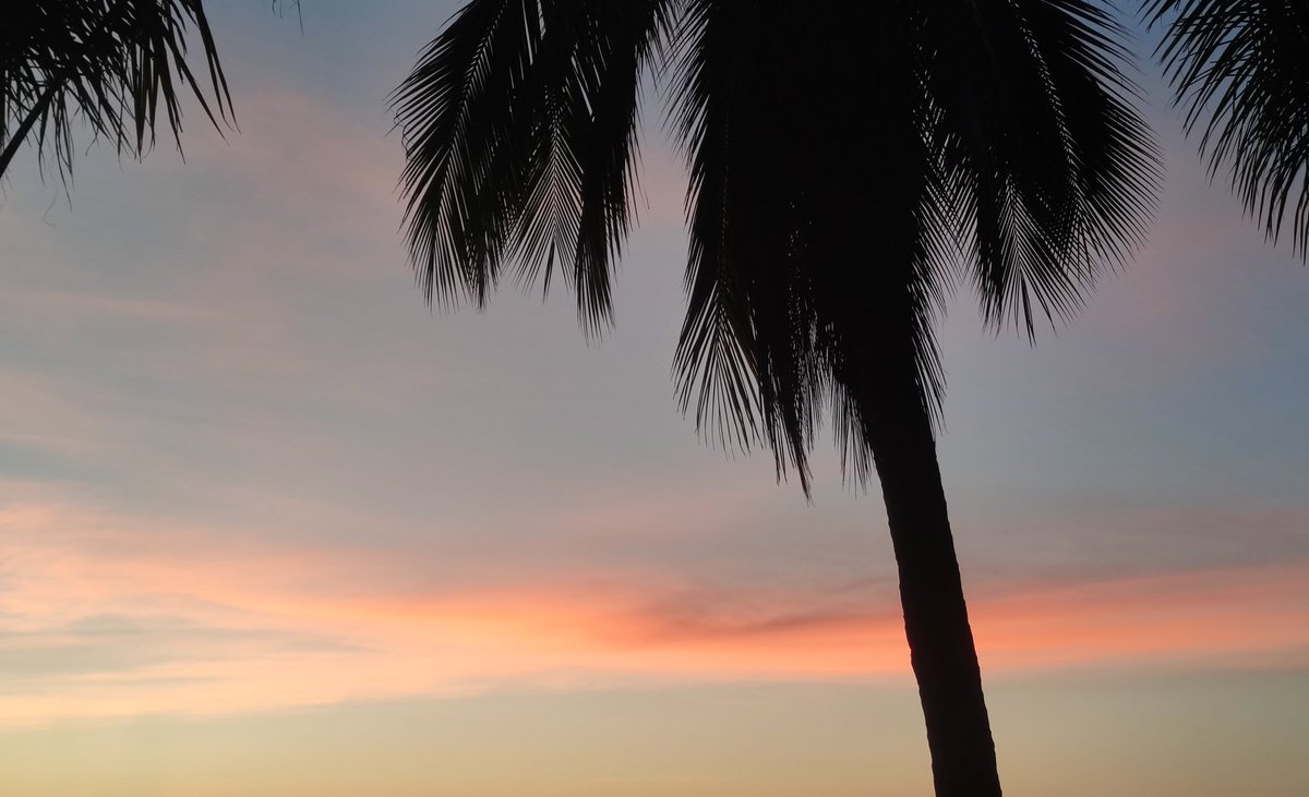 zhoumo (@zhoumo576725) on Twitter photo 