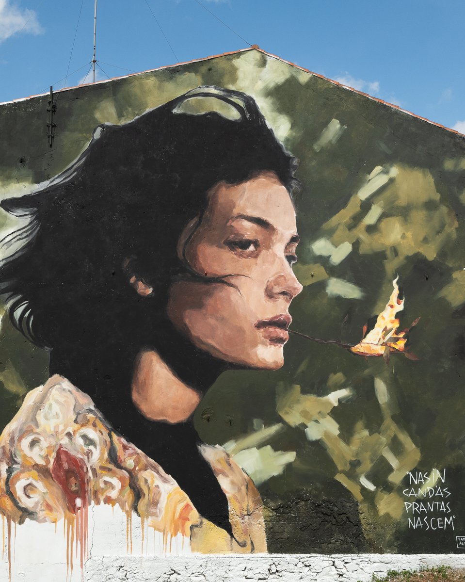 Rexenera Fest tweet media