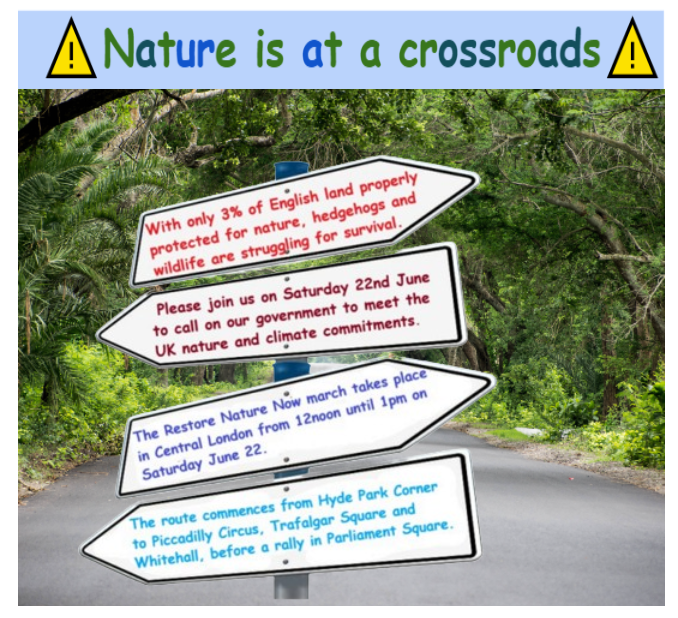 SW15 Hedgehogs tweet media