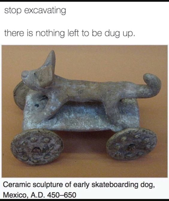 ShowYourCat's tweet image. 